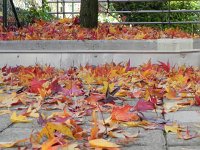 Montreux 7-8 November